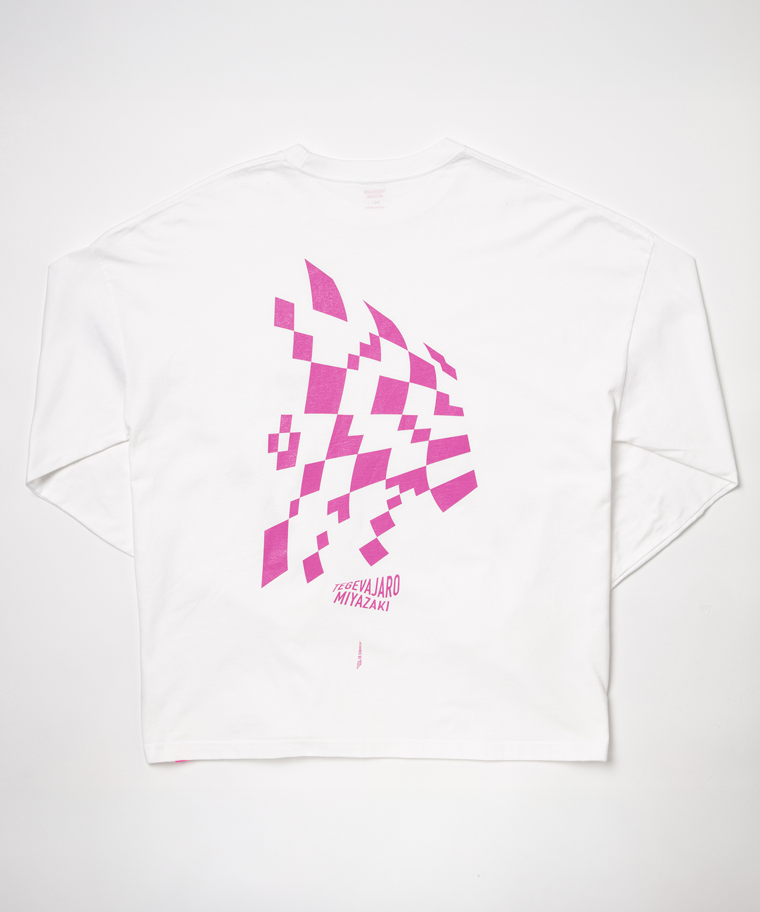 テゲバジャーロ宮崎35 江川選手サイン入り　Tシャツ テゲバジャーロ宮崎－ECサイト